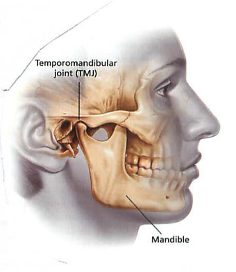 Temporomandibular joint diseases : Image illustrating the temporomandibular joint